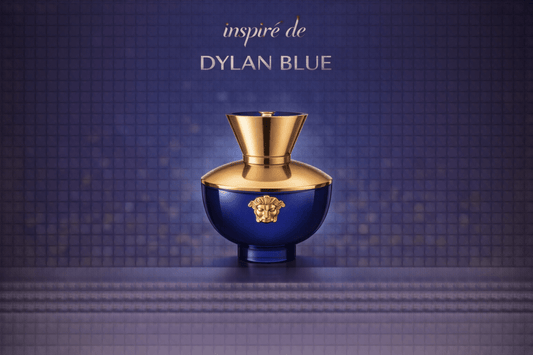 Extrait de parfum Homme insp by DYLAN BLUE de VERSACE (084) - Jintashop